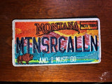 Montana, Florida, South Carolina, and Tennessee License Plate Patches